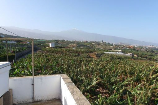 finca in La Orotava
