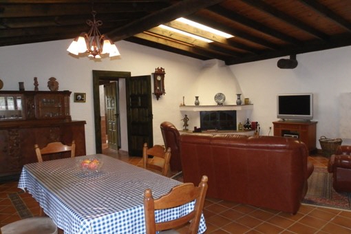 Living / dining room with fireplace