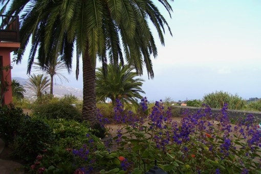 Panoramic View to Santa Cruz and across the Atlantic