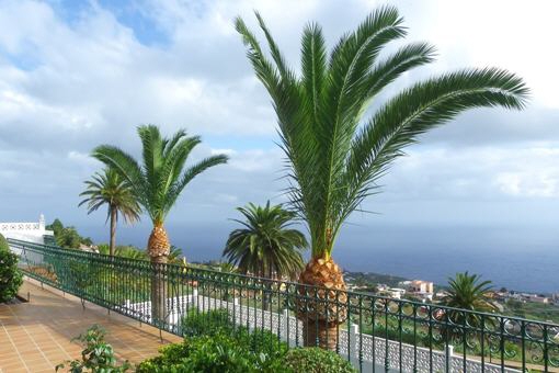 The view from the terrace