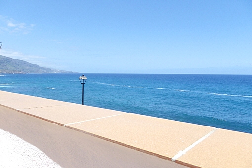 house in Puerto de la Cruz