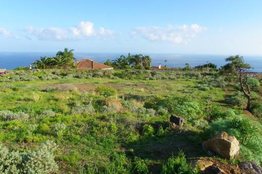 Prestigious large plot with ocean view