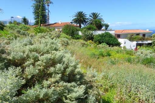 Southwest view to the Teide