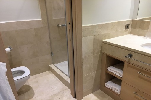Modern bathroom with shower
