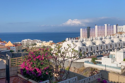house in Playa Paraíso
