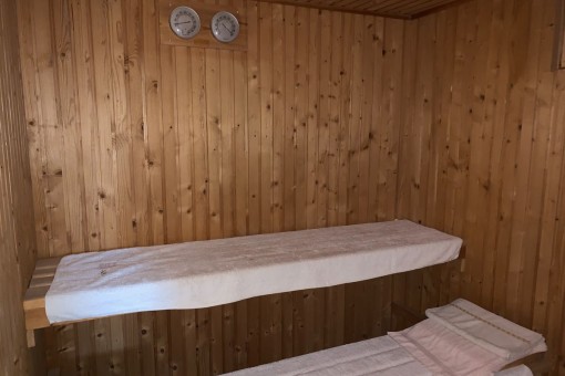 Small sauna