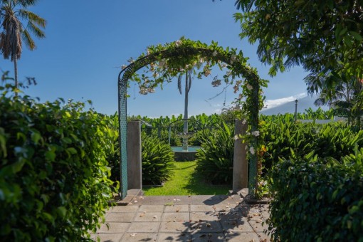 Alternative view of the garden