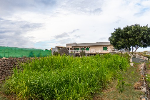 View of the garten