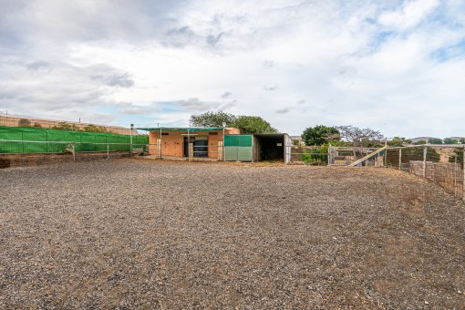 Horse riding area