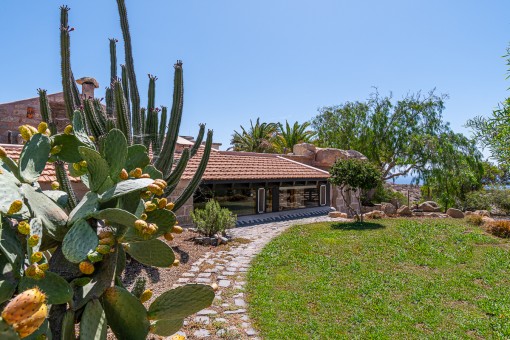 Finca in a private natural paradise with a lot of tranquility in San Isidro