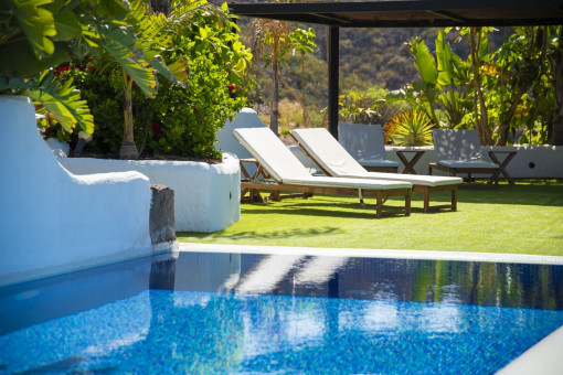 Beautiful pool and garden