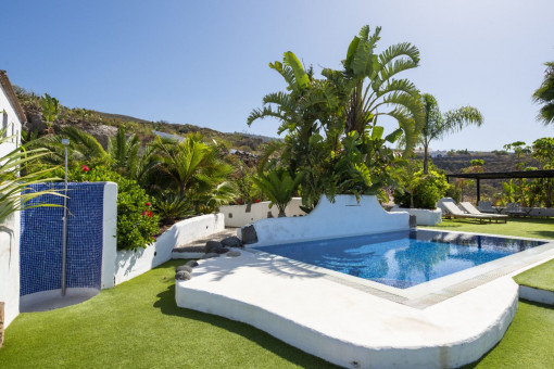 Very well mantained pool and garden area