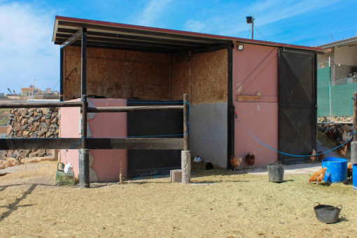 Stable