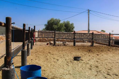 Riding paddock