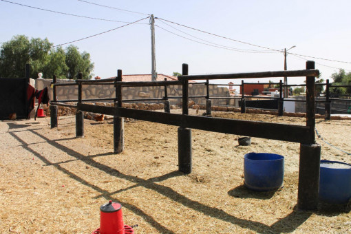 Riding paddock
