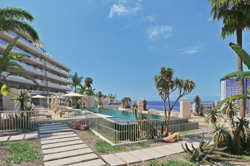 apartment in Playa Paraíso