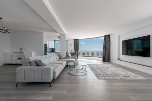 Dining area and living area