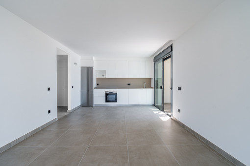 Kitchen and living area