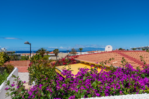 Surroundings