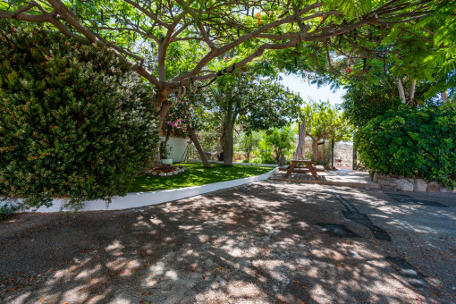 Garden