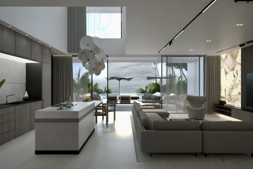 Kitchen and living area