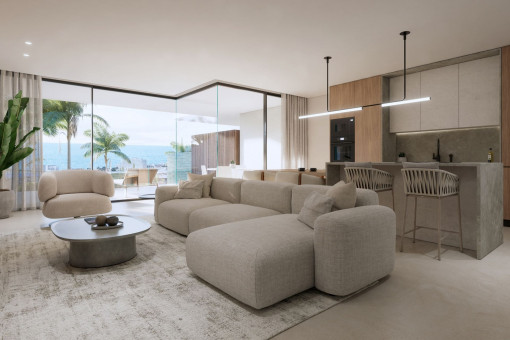 Living area and kitchen