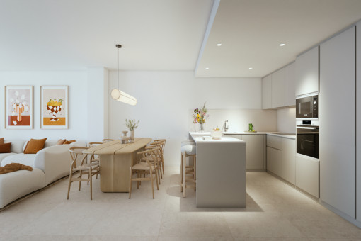 Living and dining area with kitchen