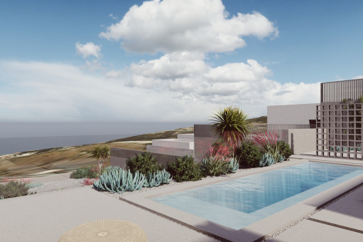 plot in Guia de Isora