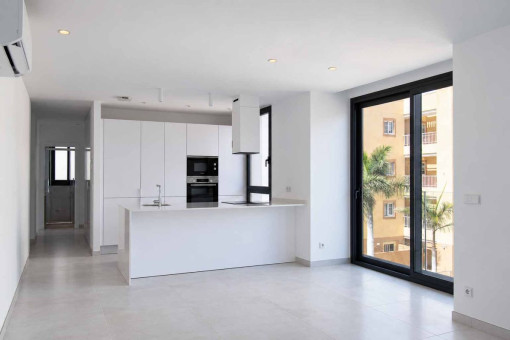 Living room and kitchen