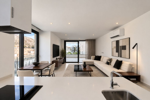 Living room and Kitchen
