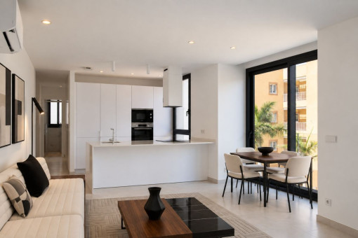 Living Room and Kitchen