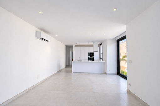Living room and kitchen