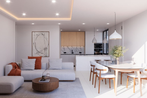 Kitchen and living room