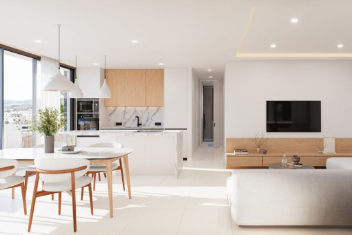 Living room and Kitchen