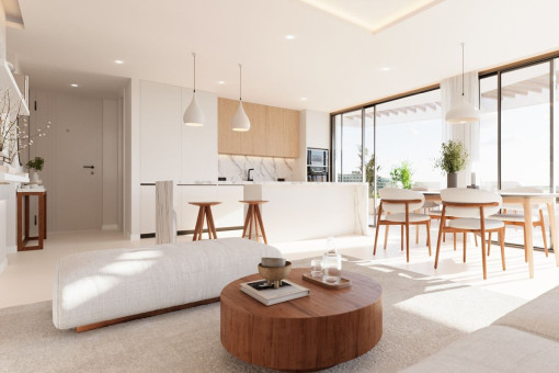 Living room and kitchen