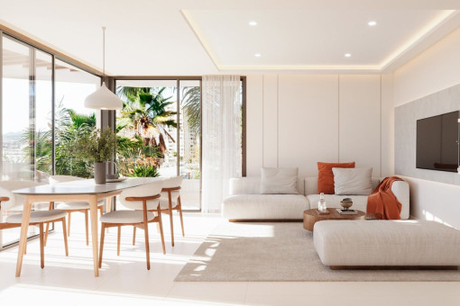 Living room and kitchen
