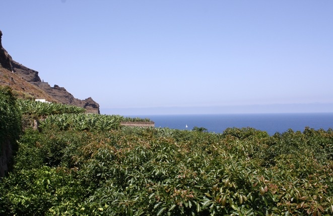 Wonderful finca in northern Tenerife